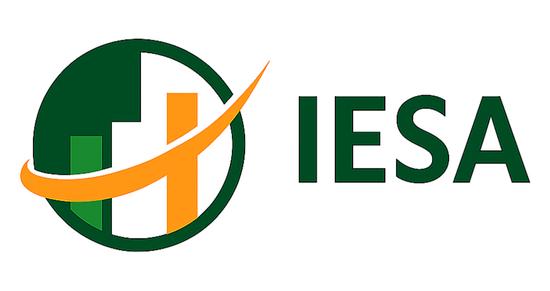 Irish Election Studies Archive (IESA)